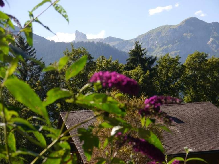 foto21