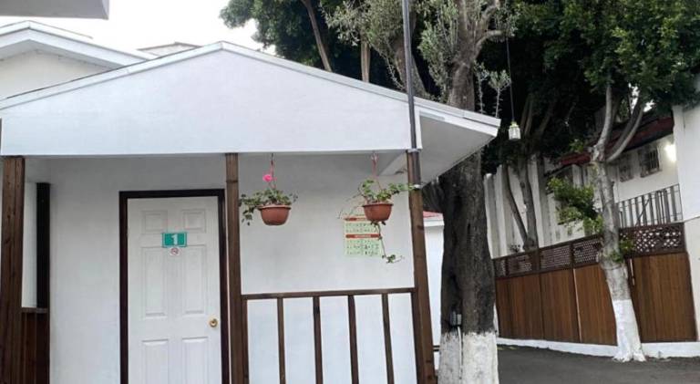 Hotel Del Bosque — photo 3