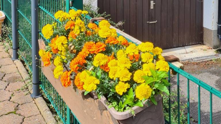 Ferienwohnung Herrischried