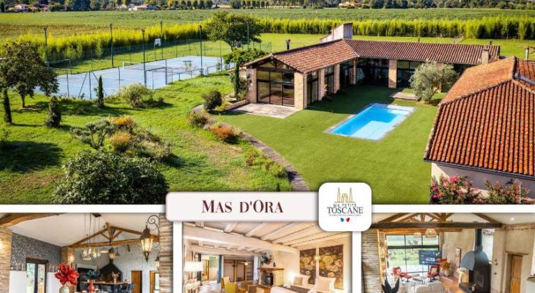 House with pool in Montauban