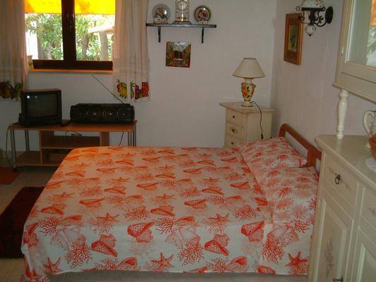 foto19