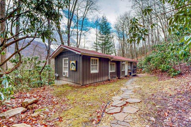 House Maggie Valley