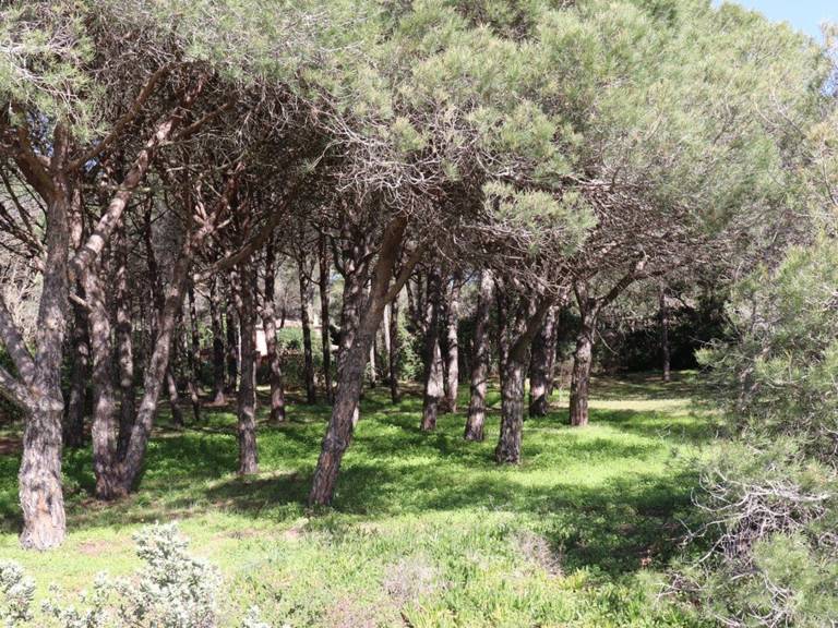 Villa with 4 rooms for 8 persons — photo 4