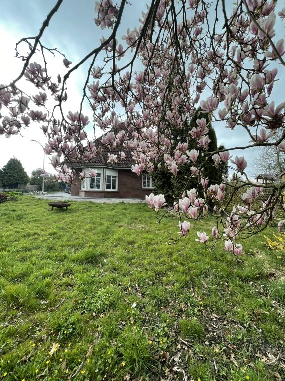 House with yard | Garden view — photo 2