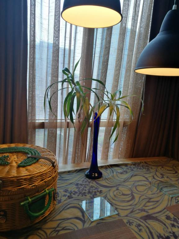 foto11