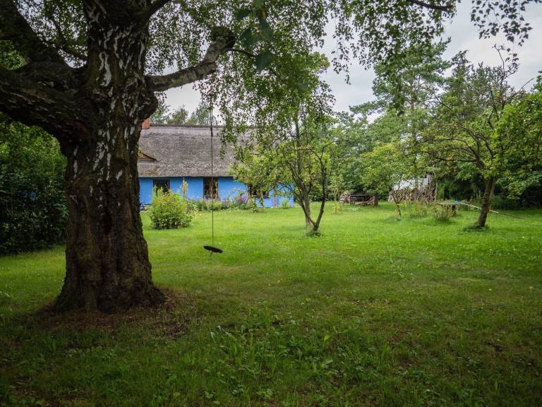foto16