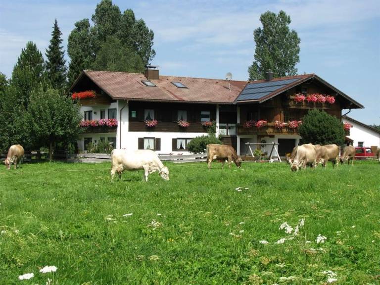 Appartement Gunzesried