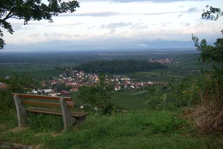 foto16