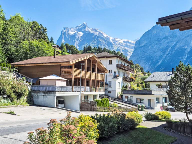 Apartment Meiringen