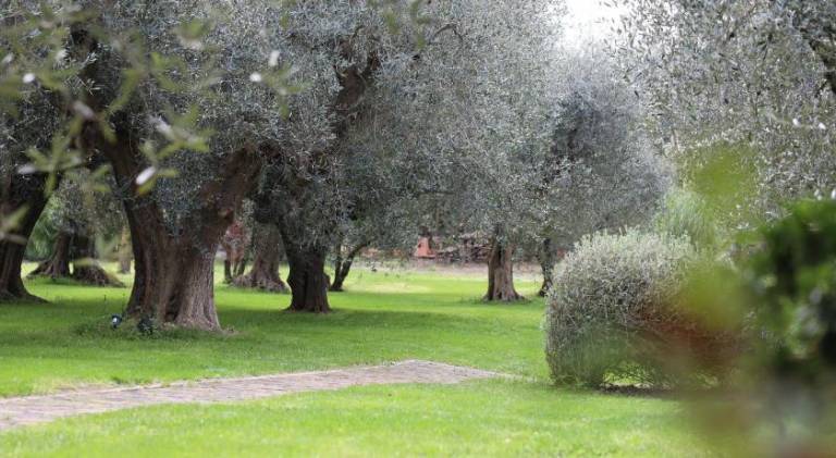 Pleasant villa | Dogs allowed in Rimini