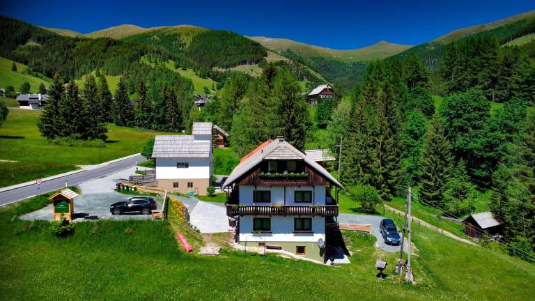 Ferienwohnung mit Hund in Gemeinde Bad Kleinkirchheim f&uuml;r max. 2 Personen