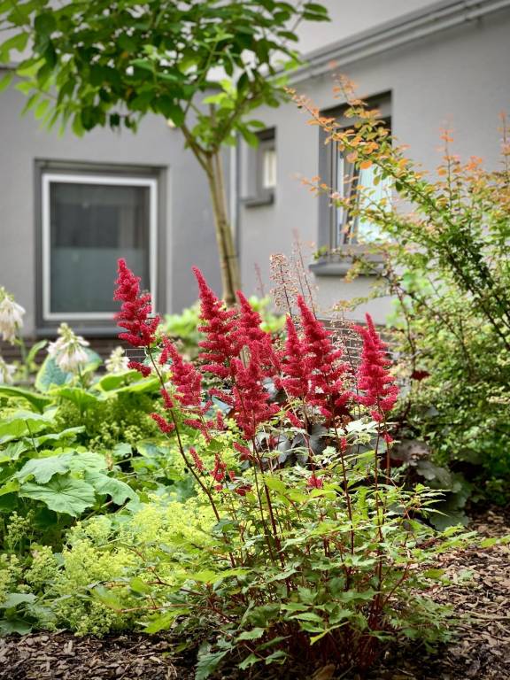 Fully equipped holiday apartment with terrace | Perfect for remote work | Pets allowed — photo 3