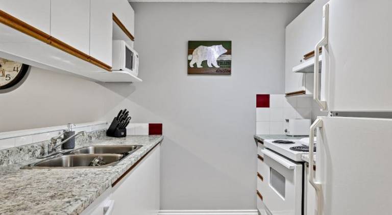 The Norquay, Pet-Friendly 2 Bed with Mtn View — photo 5