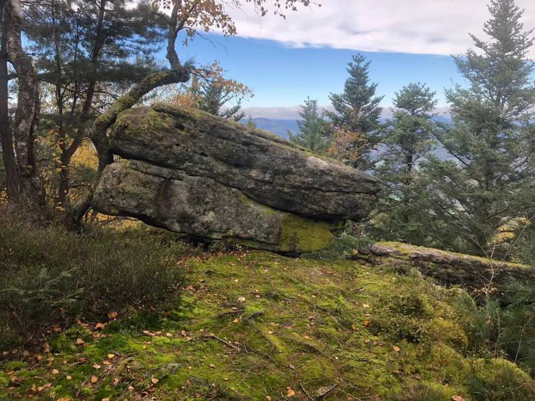 foto42