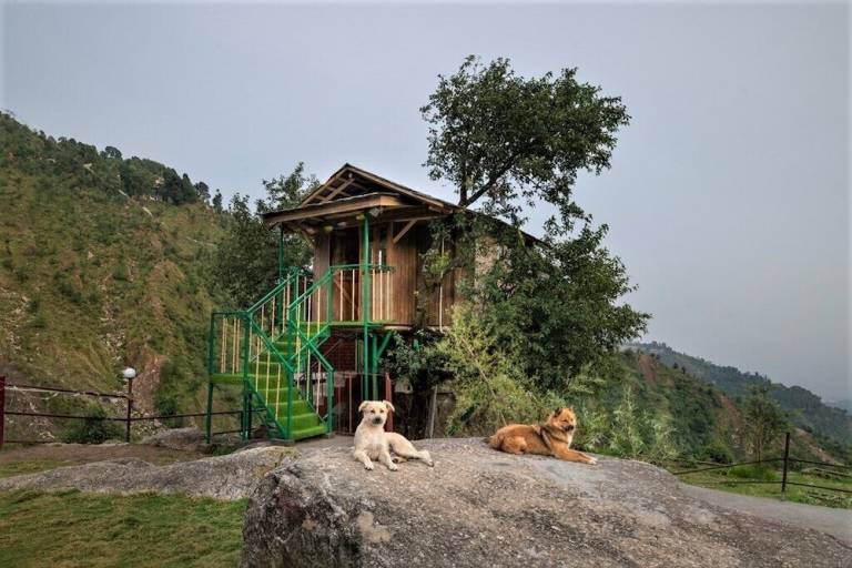 Campeggio Dharamsala