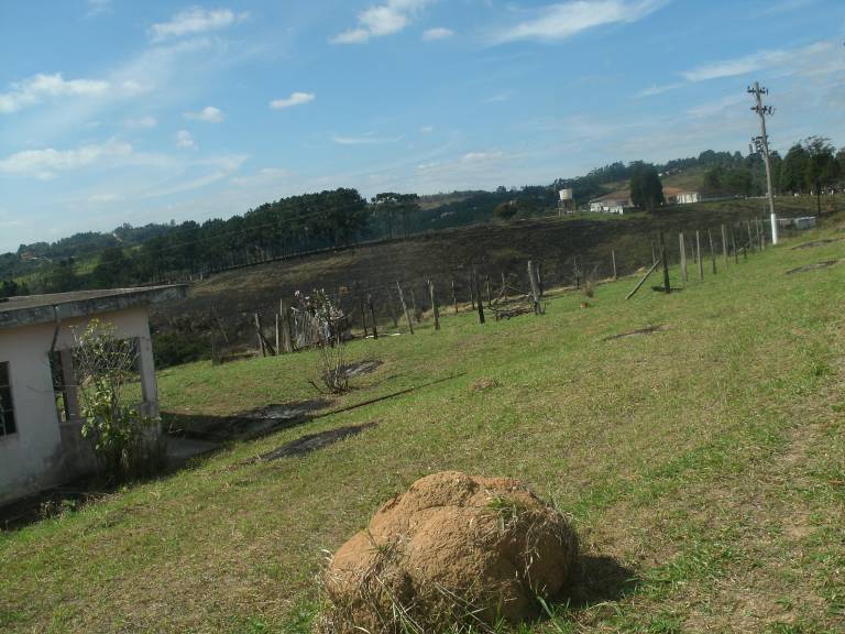 foto48