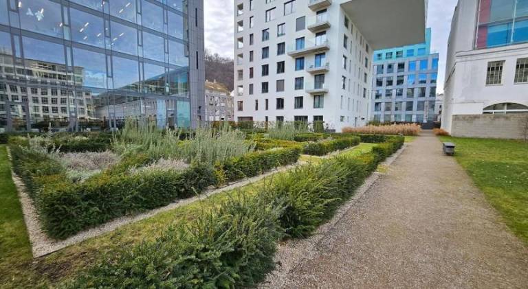 Holiday apartment with yard — photo 3
