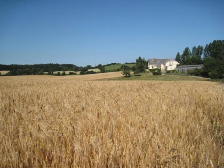 foto33