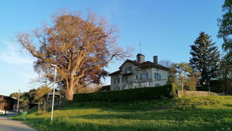 Ferienwohnung Altnau