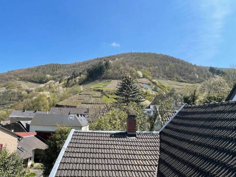 Ferienwohnung Altenahr