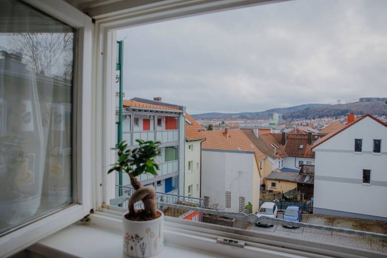 Apartment  Ilmenau