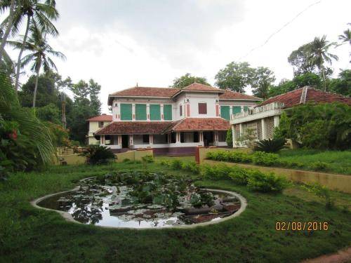 Bed and breakfast  Palakkad