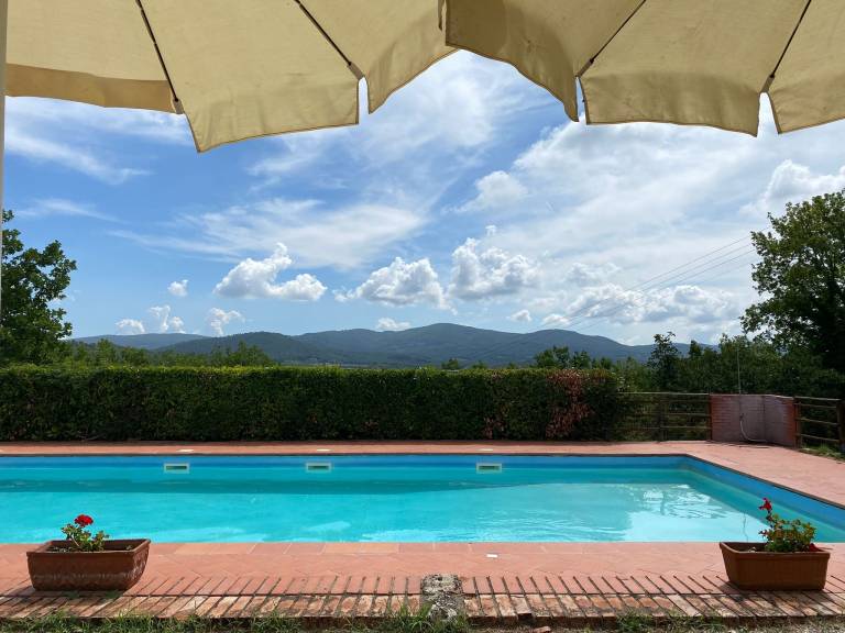 Big house with pool, fast internet & yard | Garden view | Perfect for remote work | Pets allowed — photo 3