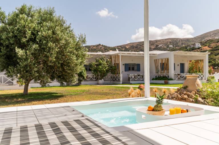 Aparthotel with hot tub, patio & fast internet | Garden view | Pet-friendly in Andros