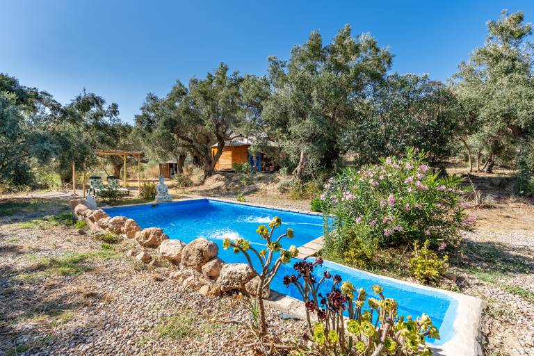 Pleasant house with pool, patio & yard | Mountain view | Dogs allowed in Granada