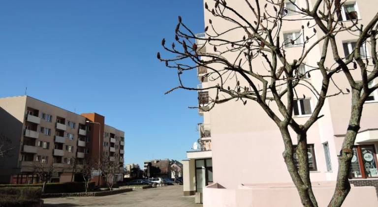 Apartament Bielice