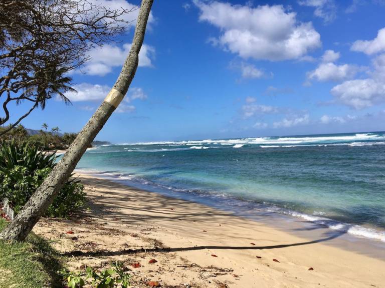 House  Mokuleia