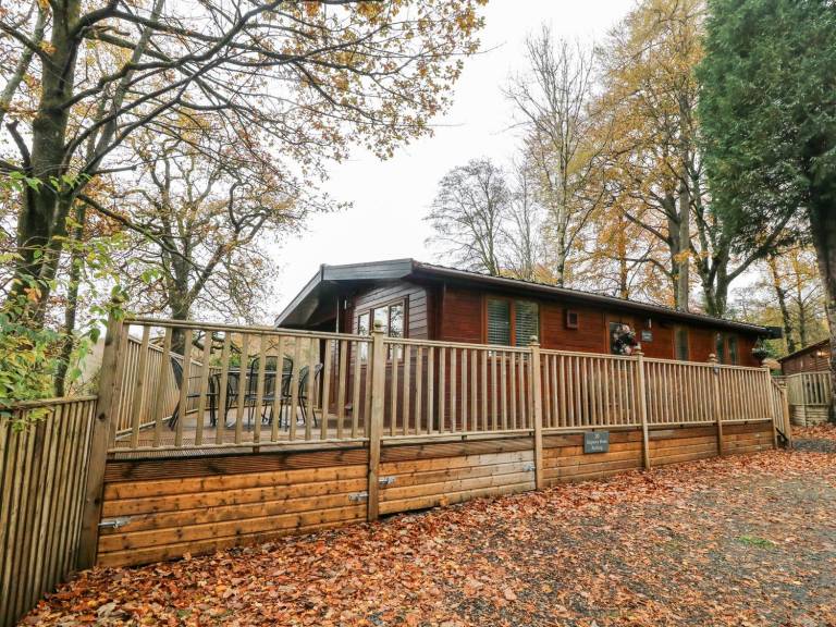Cottage with yard & sauna — photo 2