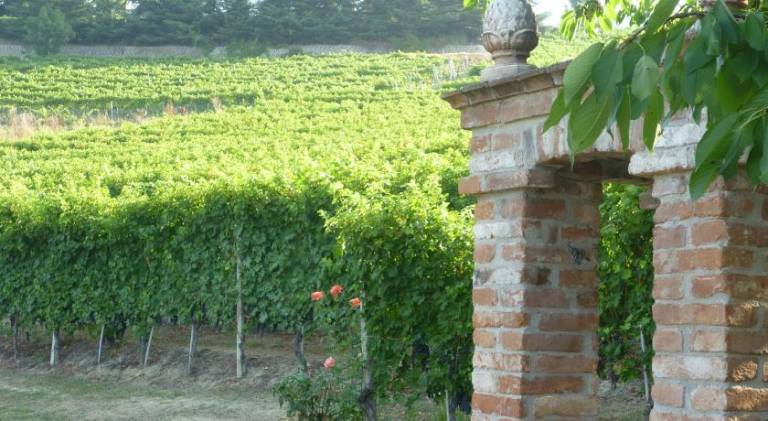 Farm with garden & terrace — photo 4