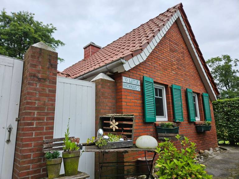 foto19
