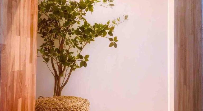 foto37