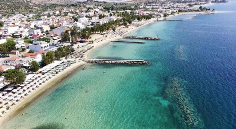 Nice holiday apartment | Next to the beach | Dogs allowed — photo 4