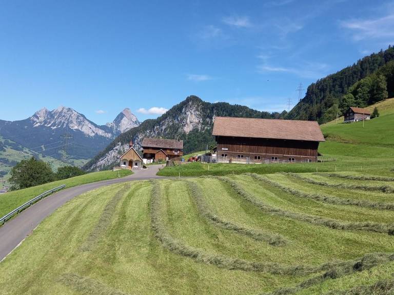 foto1