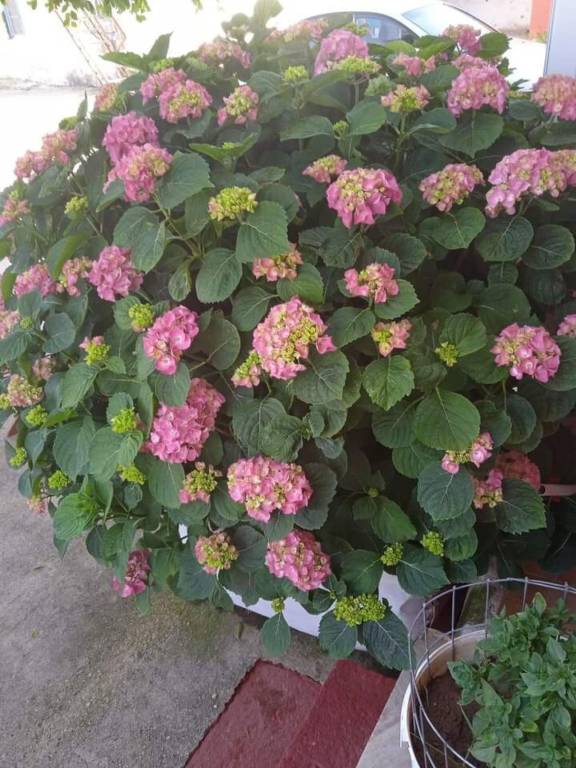 foto14