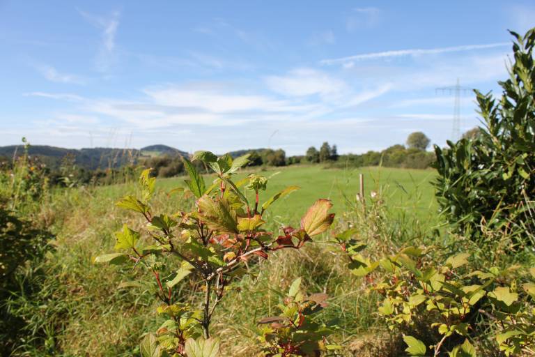 foto14