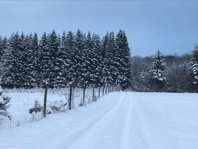foto2