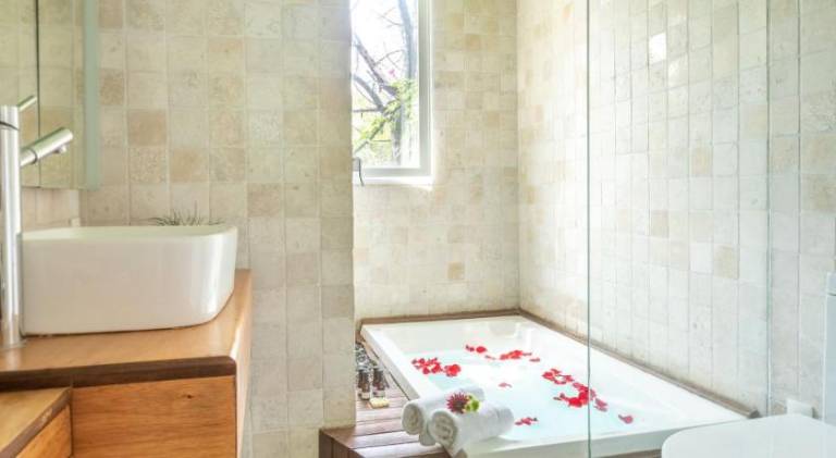 Apartment with jacuzzi | Next to Frida Kahlo Museum | Pets allowed — photo 5