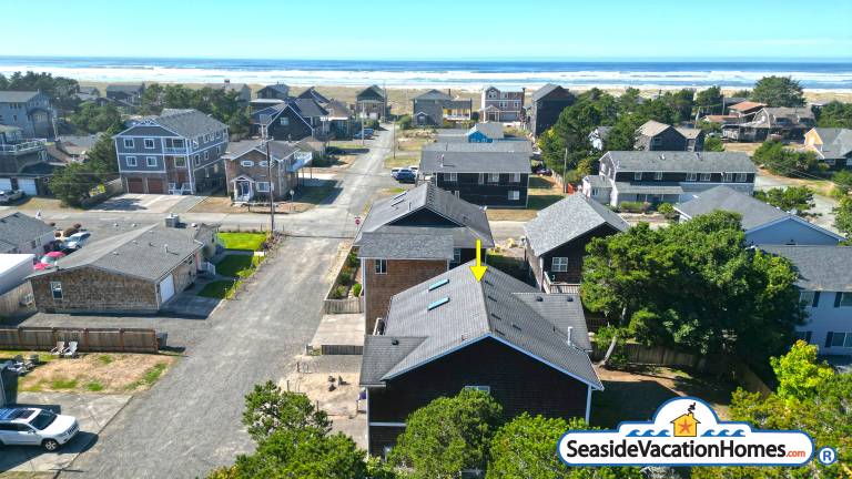 SAND DOLLAR DAYS — photo 2