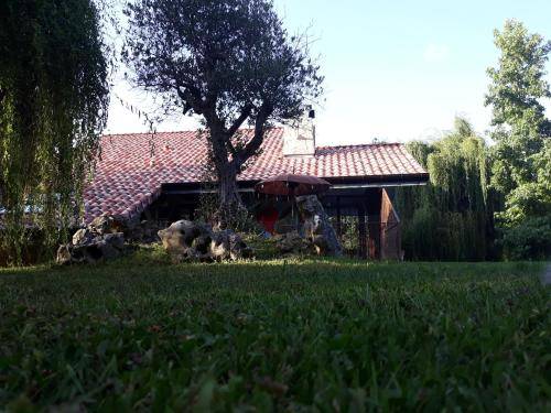 foto9