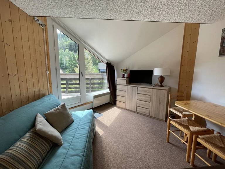 Appartement Le Lioran