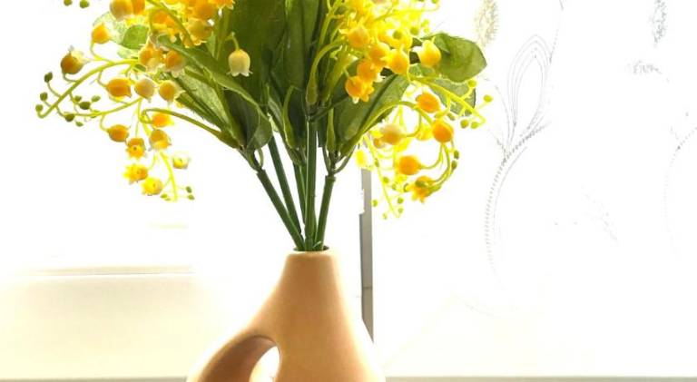 foto7