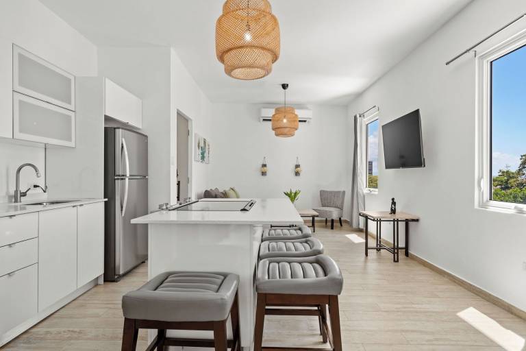 Apartment Condado