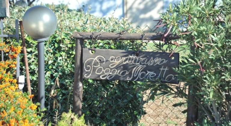 Farm with yard | Pets allowed in Manciano