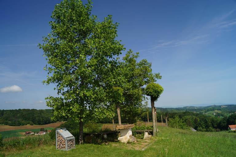 foto15