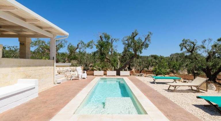 Villa with pool — photo 3