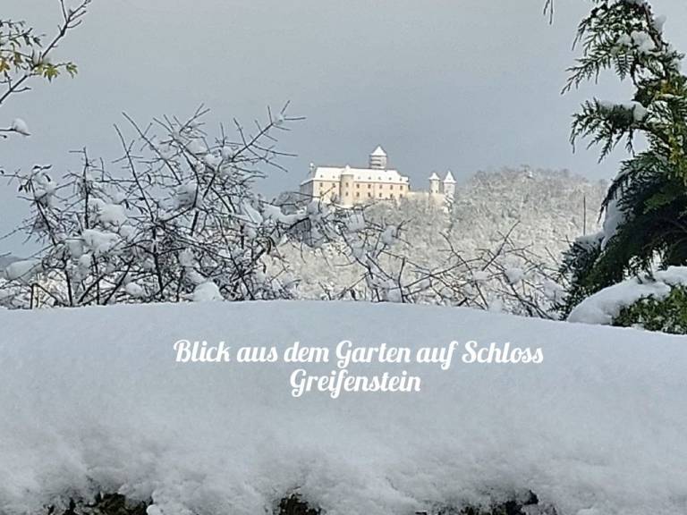 foto41